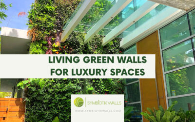 LIVING GREEN WALLS ARE THE EASIEST WAY TO CREATE A LUSH, INDOOR GARDEN